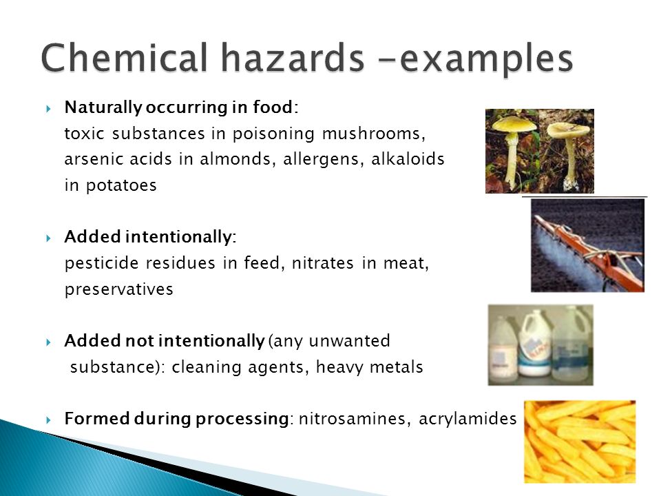 Hazardous Waste Essay Writing Help, Toxic Chemical Waste Informatoin, Samples